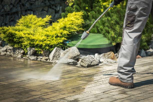 Best Boat and Dock Cleaning  in Davenport, IA