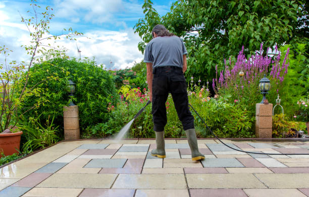 Best Fence Cleaning  in Davenport, IA